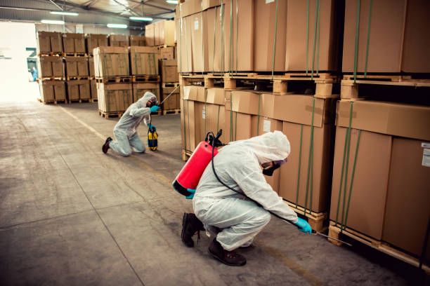 Best Pest Inspection Near Me  in Hayden, AL
