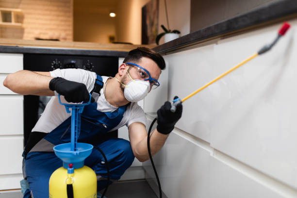 Best Bed Bug Extermination  in Hayden, AL
