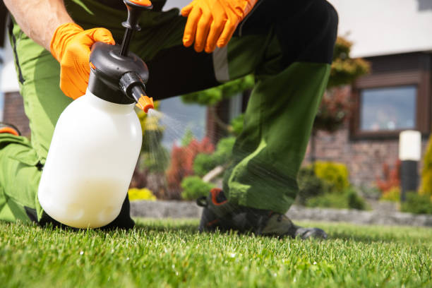 Professional Pest Control in Hayden, AL